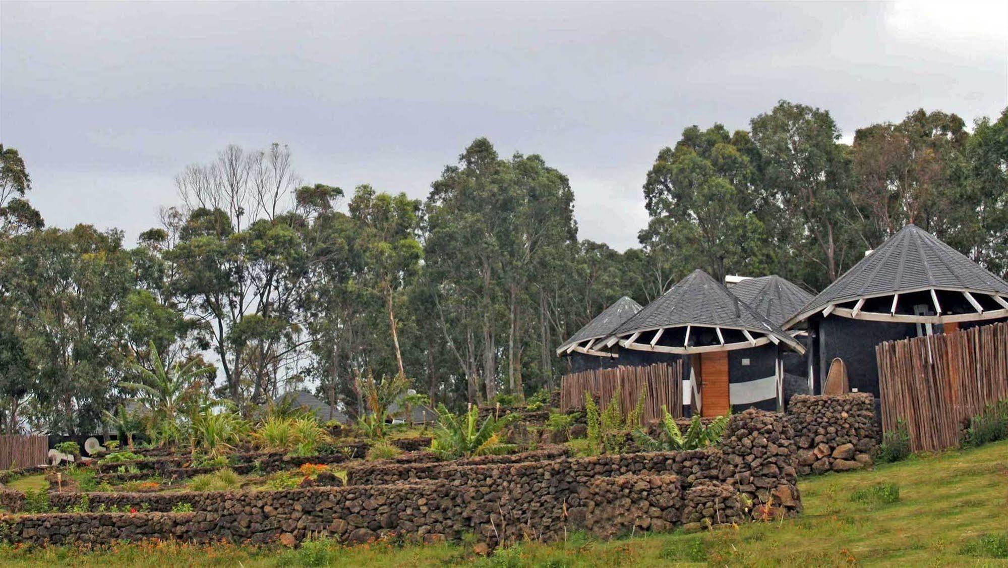 Altiplanico Isla De Pascua Otel Hanga Roa Dış mekan fotoğraf